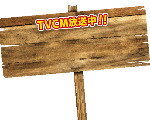 TVCM放送中