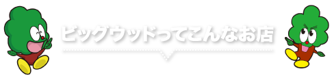 ビッグウッドってこんなお店